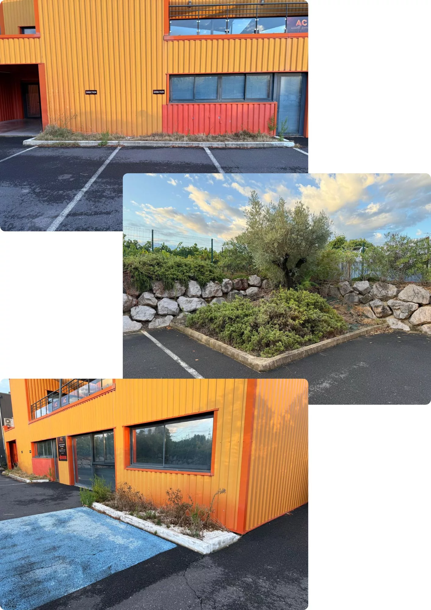 création jardin à Saint-Aunes