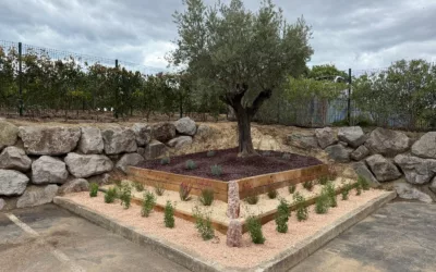 Création jardin Saint-Aunès