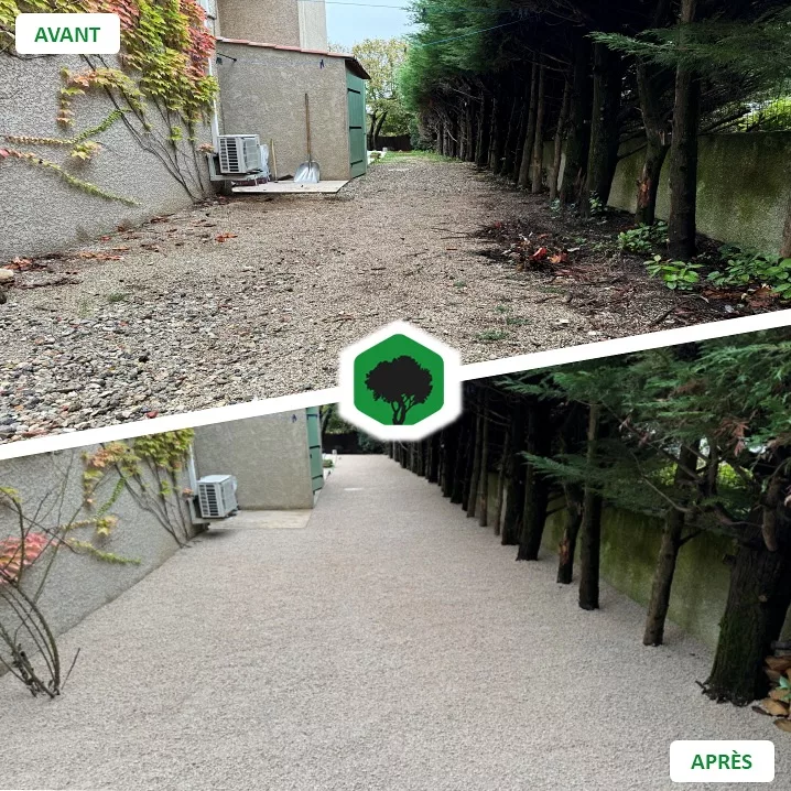 realisation creation jardin montpellier